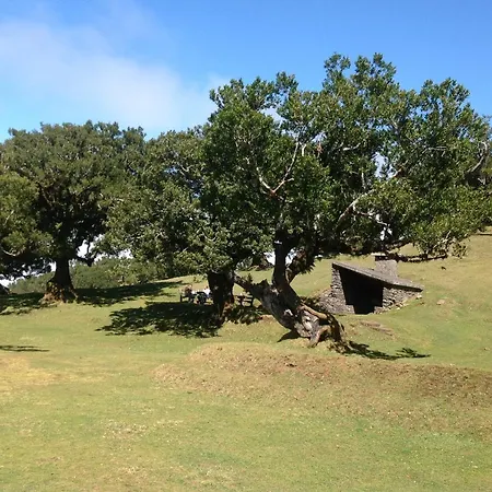 Penzion Pensao Fernandes *