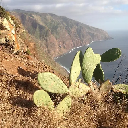 Pensao Fernandes Гостевой дом