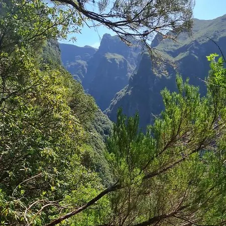 Pensao Fernandes Гостевой дом