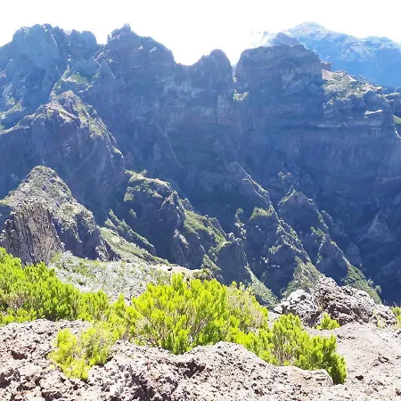 Pensao Fernandes בית הארחה פורטו מוניז