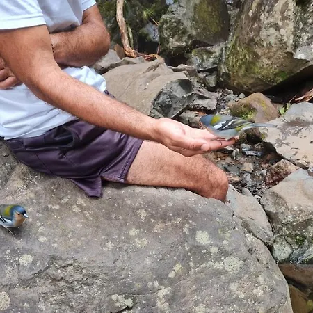 Pensao Fernandes Vendégház