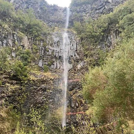 Pensao Fernandes ゲストハウス ポルト・モニス