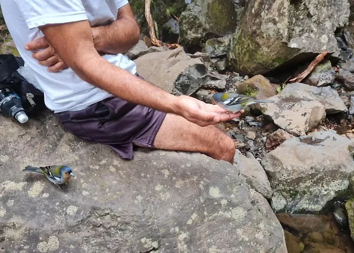 Pensao Fernandes بيت ضيافة